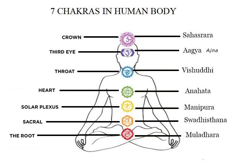 Chakras position in human body